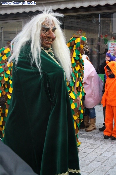 Faschingsumzug @ Weissenhorn - Bild 12