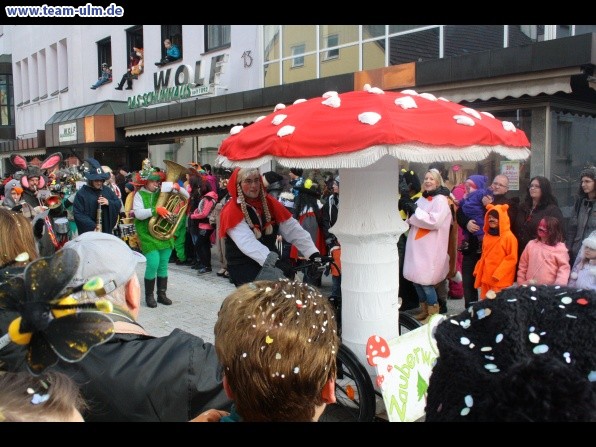 Faschingsumzug @ Weissenhorn - Bild 51