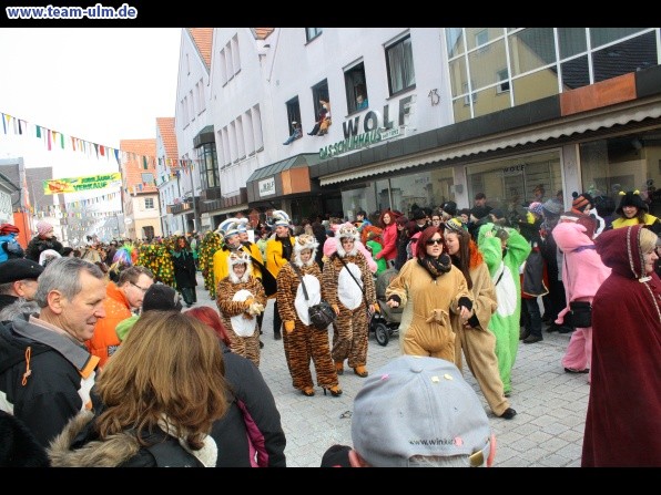 Faschingsumzug @ Weissenhorn - Bild 8
