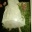 Brautkleid