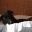 Hunde