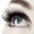 Dauergafte Wimpernverl&auml;ngerung
