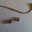 Pandora Armband mit 2 Charmes, BILLIG