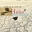 HOLES - Louis Sachar - 184 Seiten - Cornelsen Verlag
