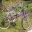 Fahrrad