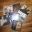 Single - Schallplatten