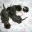 3 katzenbabys