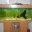 Juwel Aquarium 160 Liter