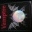 Vampire (buch)