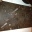 Marmor Tisch mit Fossilien