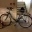 Biete ein neues Damen Fahrrad an