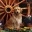 suche ein Golden Retriever