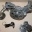 Ölpumpe VW Passat Golf Audi Seat Skoda mit Zubehör NEU! (06A115105)