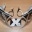 Klare in.pro Frontblinker Blinker 3er BMW E46 Coupé Cabrio 43642