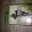 COD MW1 XBOX 360