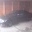 BMW E36 320i