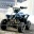 quad 125ccm