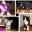 katze