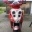 Kreidler Hiker 50 DD Roller 50ccm