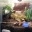 Terrarium R&uuml;ckwandgestaltung