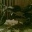 pocketbike