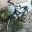 Mountenbike